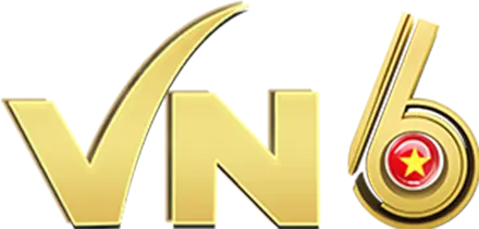 VN6 logo